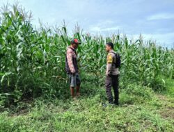 Ketahanan Pangan Diperkuat, Polsek Pekat Dampingi Petani Menuju Indonesia Emas 2045