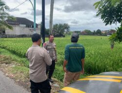 BHABINKAMTIBMAS DESA KESELET SAMBANGI LAHAN KETAHANAN PANGAN TANAMAN PADI