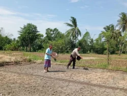 Polri Kawal Swasembada Pangan di Desa Merembu Lombok Barat