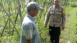Bhabinkamtibmas Gerung Turun ke Sawah Motivasi Petani Aik Ampat
