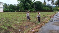 Cara Polsek Gerung Motivasi Petani di Lombok Barat