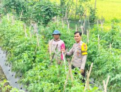 Bhabinkamtibmas Sakra Selatan Silaturahmi dan Monitor Program Ketahanan Pangan di Bagik Periduk