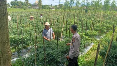 Sinergi Polri dan TNI, Aiptu Azhari dan Sertu Ruslan Haryadi Sambangi Ketua Gapoktan Rarang Selatan