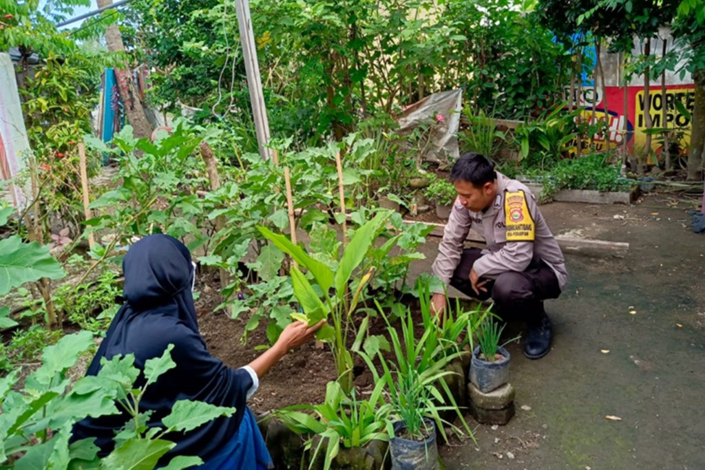 Bhabinkamtibmas Perampuan Gerakkan Program Pekarangan Bergizi di Labuapi