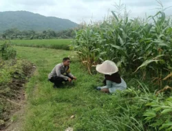 Polres Lombok Barat Kawal Swasembada Pangan di Gerung