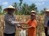 Sinergi Polri dan Petani Sekotong: Wakapolres Lombok Barat Pimpin Langsung Panen Jagung Ruby