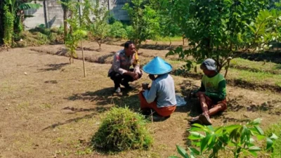 Dukung Swasembada, Polsek Labuapi Dampingi Petani Karang Bongkot