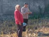 Kemandirian Pangan Jadi Prioritas, Bhabinkamtibmas Polres Lombok Barat Beri Edukasi Strategis di Tengah Lahan Jagung