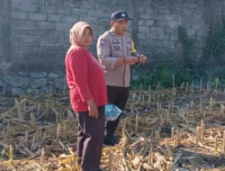Kemandirian Pangan Jadi Prioritas, Bhabinkamtibmas Polres Lombok Barat Beri Edukasi Strategis di Tengah Lahan Jagung