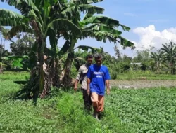 Polsek Labuapi Dorong Ketahanan Pangan Melalui Pekarangan Bergizi