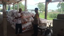Langkah Cerdas Bhabinkamtibmas Dasan Geres: Ubah Lahan Sempit Jadi Sumber Pangan Produktif