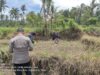 Kapolsek Wanasaba Cek Lokasi Penanaman Jagung, Ajak Warga Dukung Ketahanan Pangan