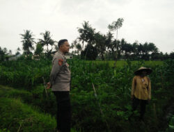 Bhabinkamtibmas Masbagik Selatan Cek Lahan P2B di Tanak Malit Utara, Dukung Ketahanan Pangan Warga