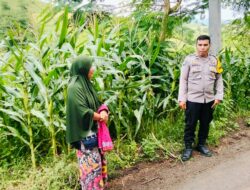 Perkuat Ketahanan Pangan, Polsek Woja Aktif Dampingi Petani di Desa Matua