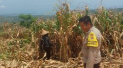 Melalui Silaturahmi, Bhabinkamtibmas Taropo Perkuat Sinergi Polri dan Masyarakat