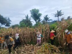 Perkuat Sinergitas, Bhabinkamtibmas Desa Tolo’oi Sambangi Tokoh Masyarakat di Dusun Batu Mas
