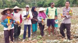 Dukung Ketahanan Pangan Nasional, Bhabinkamtibmas Desa Ta’a Pantau Lahan Jagung Warga di Kecamatan Kempo
