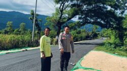 Bhabinkamtibmas Desa Adu Pantau Hasil Panen Jagung Warga, Dukung Program Ketahanan Pangan Nasional