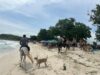 Libur Lebaran, Unit K9 Polda NTB Amankan Kawasan Wisata Pantai Tanjung Aan