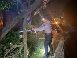 Quick Response Layanan 110, Pamapta Polres Bima Kabupaten Evakuasi Pohon Tumbang di Desa Donggobolo
