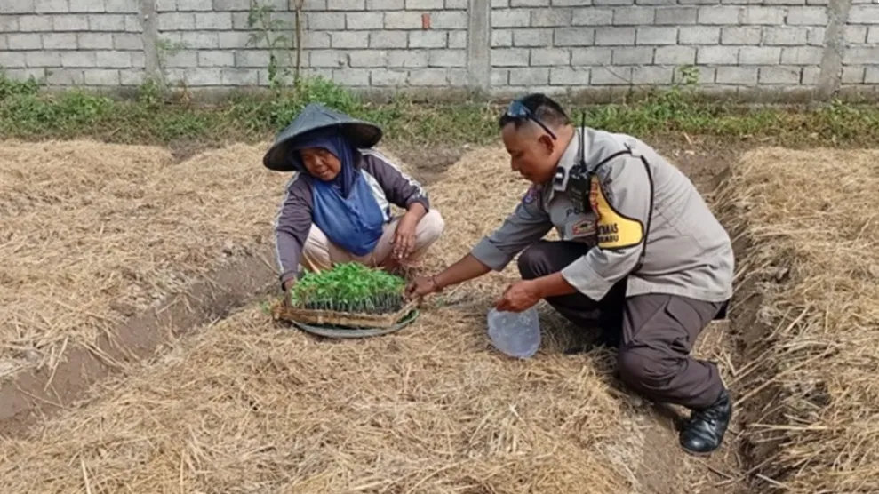 Polres Lobar Perkuat Ketahanan Pangan di Desa Merembu Labuapi