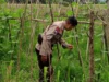Polri Kawal Program Ketahanan Pangan di Desa Terong Tawah