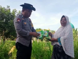 Sinergi Polsek Labuapi dan Petani Wujudkan Swasembada