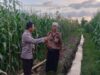 Sinergi Polri dan Warga Gerung: Mengoptimalkan Potensi Lokal untuk Menjaga Ketahanan Pangan Nasional