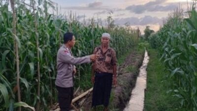 Bhabinkamtibmas Gerung Kawal Ketahanan Pangan Nasional