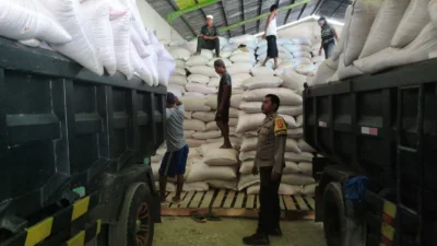 Langkah Nyata Polres Lombok Barat Kawal Distribusi Jagung Petani Mareje Timur Tembus Bulog