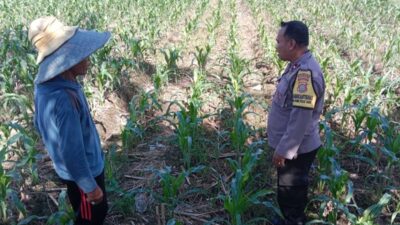 Polri Perkuat Ketahanan Pangan di Labuapi Lombok Barat