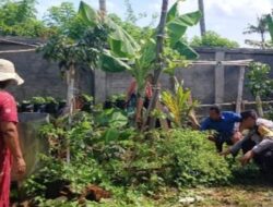 Lahan Kosong Jadi Solusi Ekonomi, Bhabinkamtibmas Giri Tembesi Ajak Warga Perkuat Ketahanan Pangan Nasional