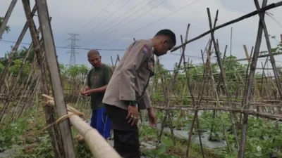 Bhabinkamtibmas Kuranji Dalang Motivasi Petani Sayur: Optimalkan Lahan Pekarangan di Desa