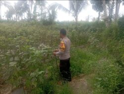 Bhabinkamtibmas Desa Kesik Cek Lahan Ketahanan Pangan Bergizi Bersama Warga