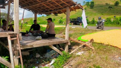 Bhabinkamtibmas Desa Jala Turun ke Lapangan, Pastikan Hasil Panen Aman dan Optimal