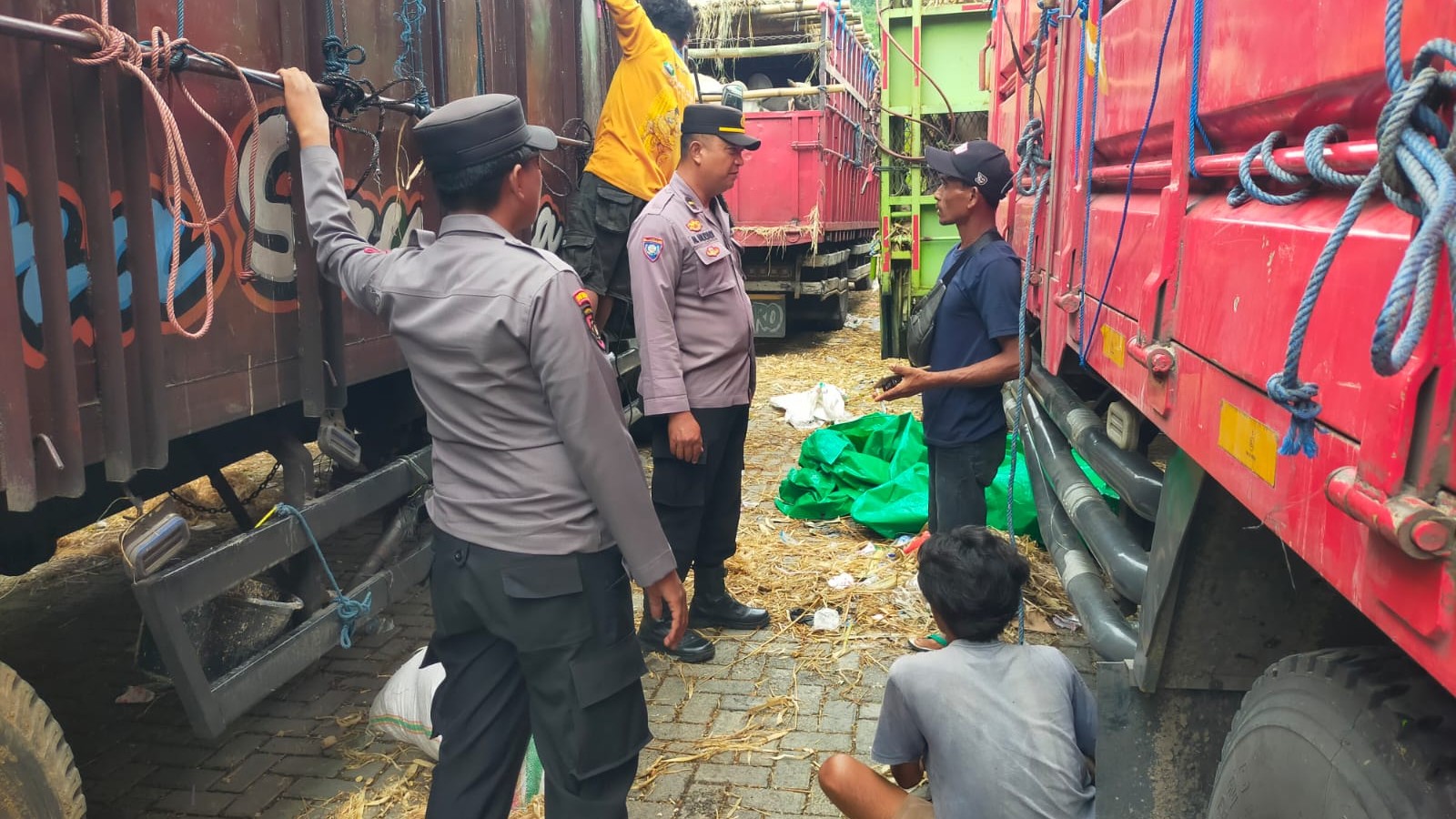 Pengiriman Sapi di Pelabuhan Lembar Terpantau Kondusif