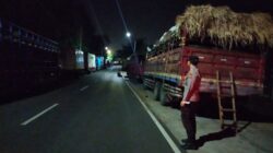 Pantauan Terkini di Pelabuhan Lembar: Arus Pengiriman Ternak Sapi Menuju Pulau Jawa Dipastikan Tetap Lancar dan Terkendali