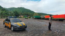 Distribusi Ternak Sapi di Pelabuhan Lembar Berjalan Lancar