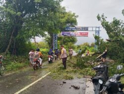 Personel Polsek Moyo Hulu Sigap Lakukan Pengaturan Lalu Lintas Pohon Tumbang yang Tutupi Jalan
