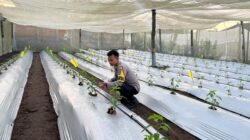 Bhabinkamtibmas Desa Kumbang Intensifkan Silaturahmi dan Monitoring Ketahanan Pangan