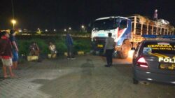 Antrean Truk Sapi di Pelabuhan Lembar Akhirnya Melandai, Distribusi ke Jawa Kini Jauh Lebih Cepat!