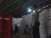Polri Kawal Ketat 19 Ton Jagung Mareje ke Bulog, Pastikan Petani Sejahtera!
