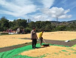 Bhabinkamtibmas Polsek Manggelewa Pantau Penjemuran Jagung Warga