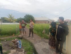 BHABINKAMTIBMAS POLSEK WOJA DUKUNG KETAHANAN PANGAN WARGA MELALUI PEMANTAUAN LAHAN PADI