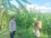 Sinergi Tanpa Batas di Lombok Barat: Saat Polisi dan Petani Berkolaborasi Demi Kedaulatan Pangan Desa