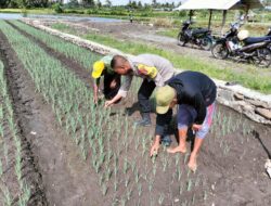 Kapolsek Sambelia Cek TKP Dugaan Pencurian di Tambak Udang Desa Dara Kunci