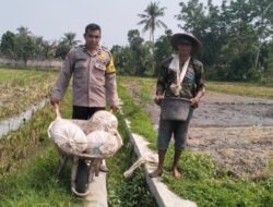 Sinergi Polsek Labuapi dan Petani Jaga Ketahanan Pangan
