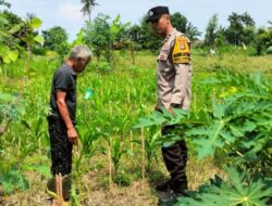 Bhabinkamtibmas Labuapi Kawal Ketahanan Pangan Nasional hingga ke Desa