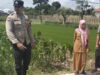 Lahan Kosong Jadi Sumber Cuan, Aksi Nyata Polsek Labuapi Perkuat Ketahanan Pangan Nasional