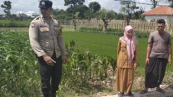 Polsek Labuapi Perkuat Ketahanan Pangan di Desa Binaannya